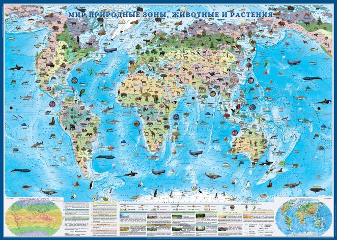 Настенные карты мира: Природные зоны мира, животные растения-настенная картаразмер 143х102см